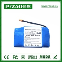 铂族动力电池 电动车电池PH-002