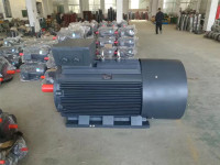 mmexport1494896144676