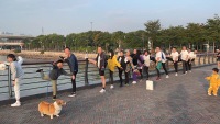 元元旦跑-6