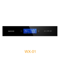 WX-01主图