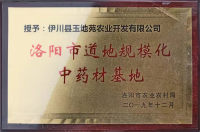 荣誉证书-0a7b8b969ce9e84342b6ee7d21e3b0d-副本