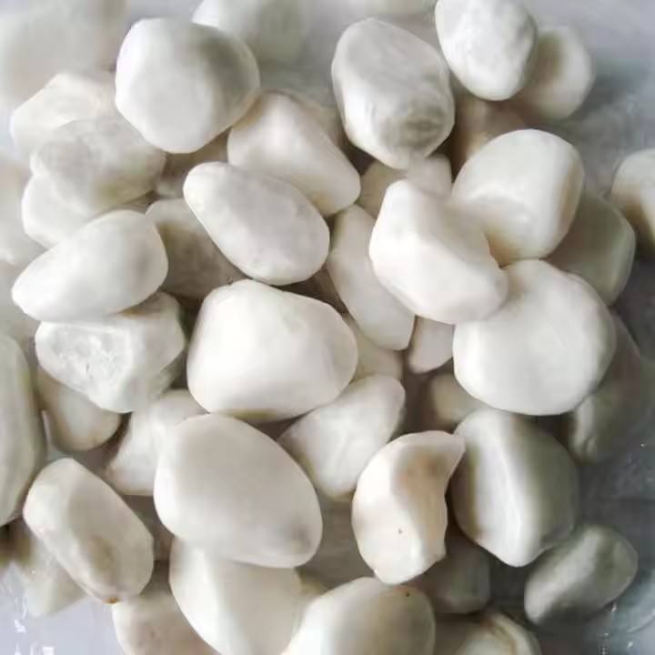 Haacecb713f5d41a1bcaf4d8d6e69f6395.jpg_720x720q50