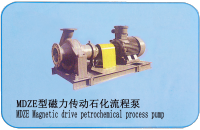 p61