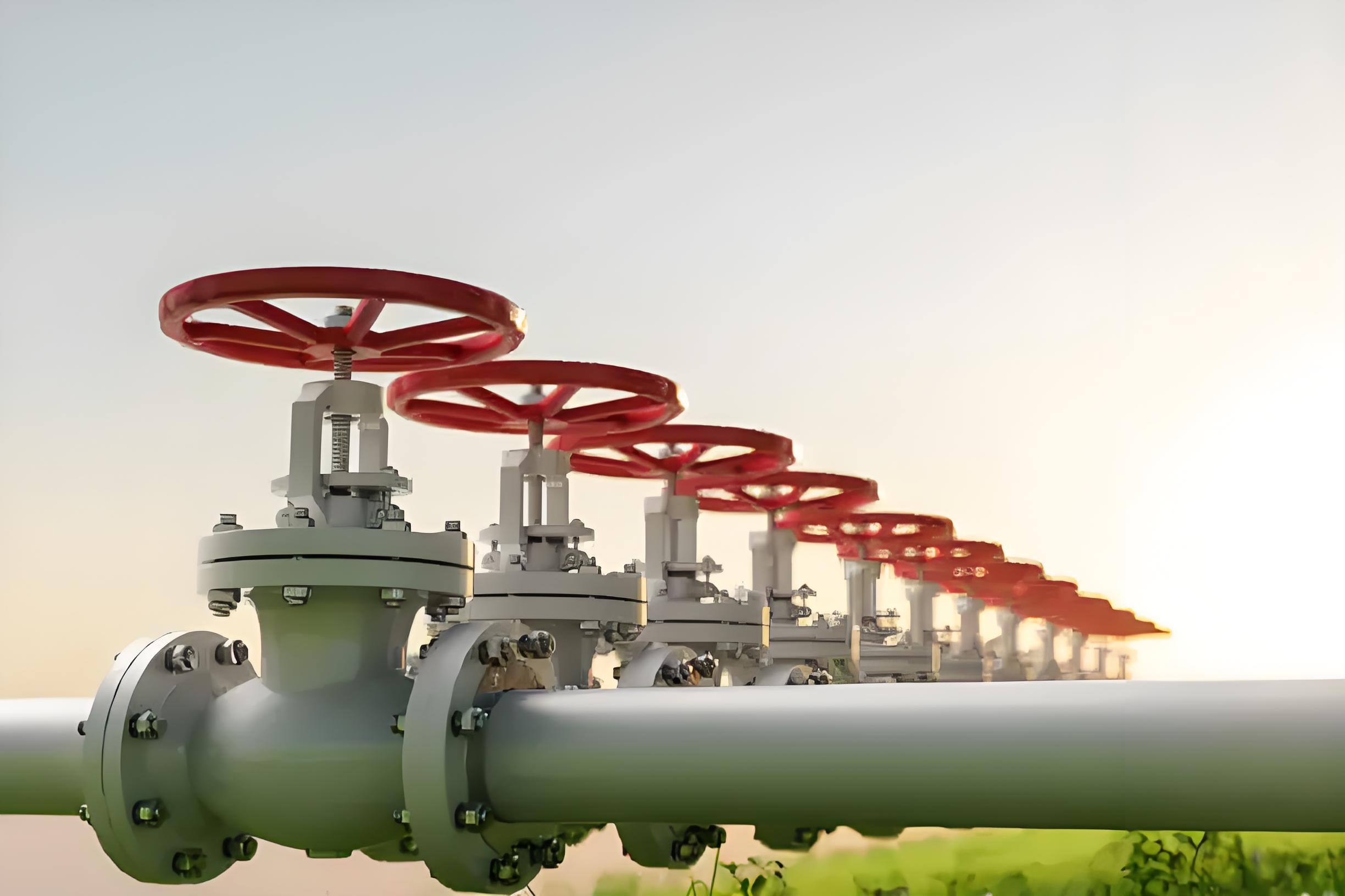 Premier supplier of valves