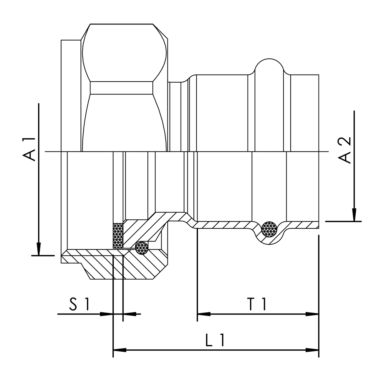 zei_pro_sch_47670_sall_ainfs_v1