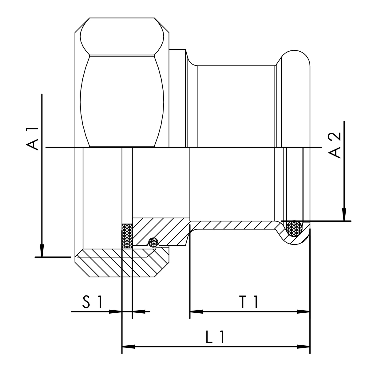 zei_pro_sch_47620_sall_ainfs_v1