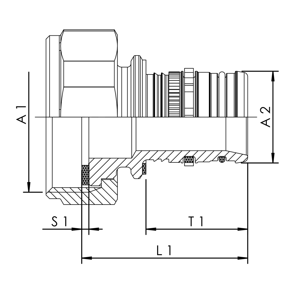 zei_pro_sch_47640_sall_ainfs_v1