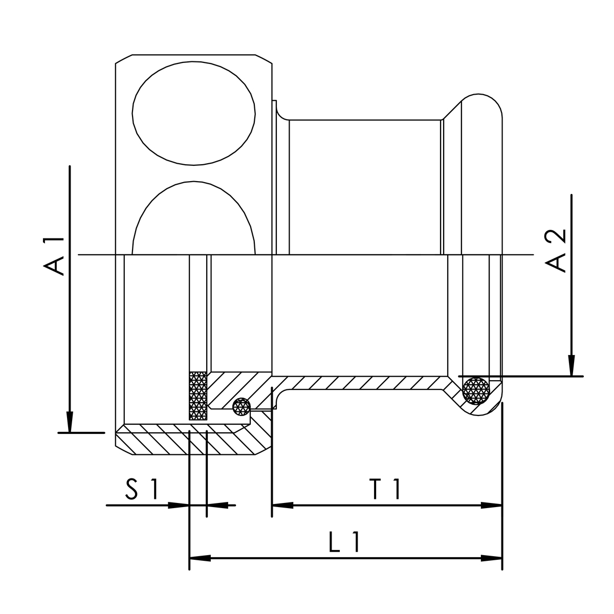 zei_pro_sch_47635_sall_ainfs_v1