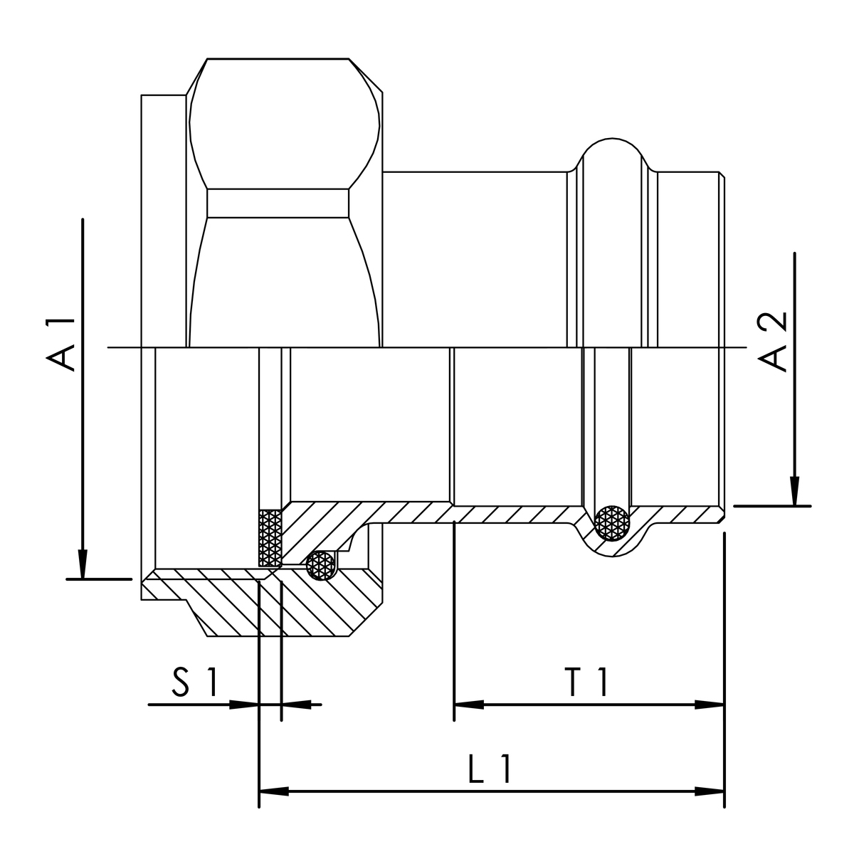 zei_pro_sch_47630_sall_ainfs_v1