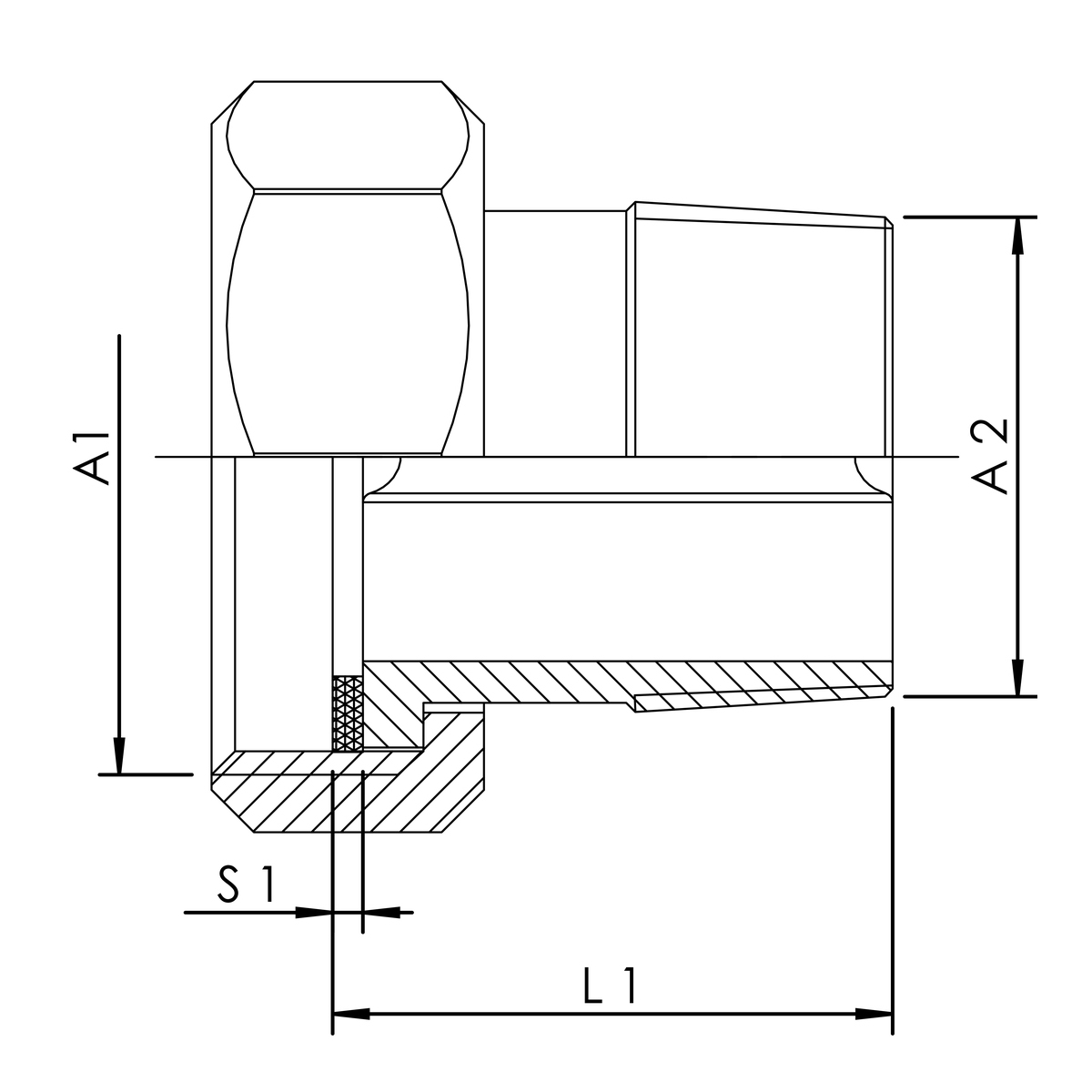 zei_pro_sch_47608_sall_ainfs_v1