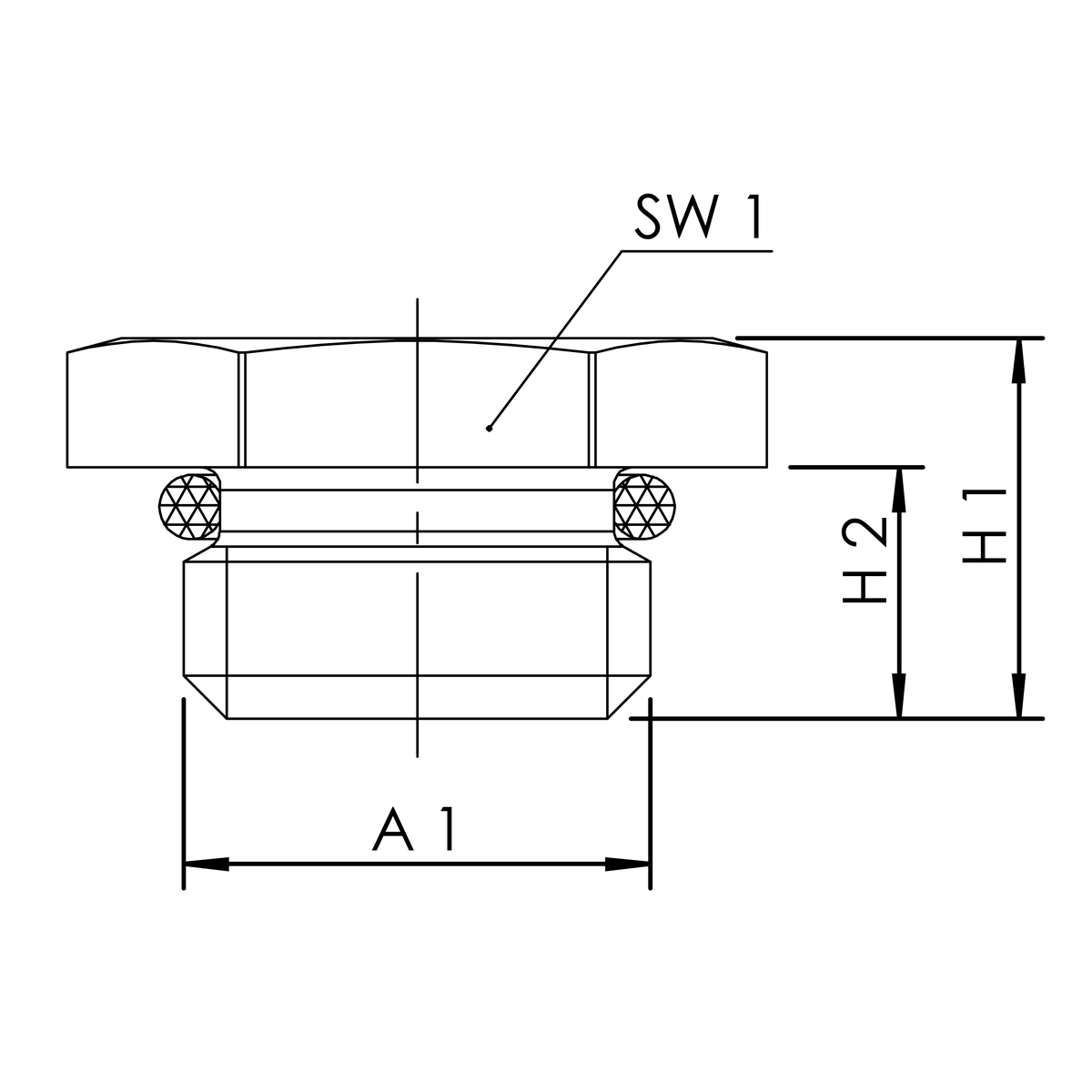 zei_pro_sch_j810117300_sall_ainfs_v1