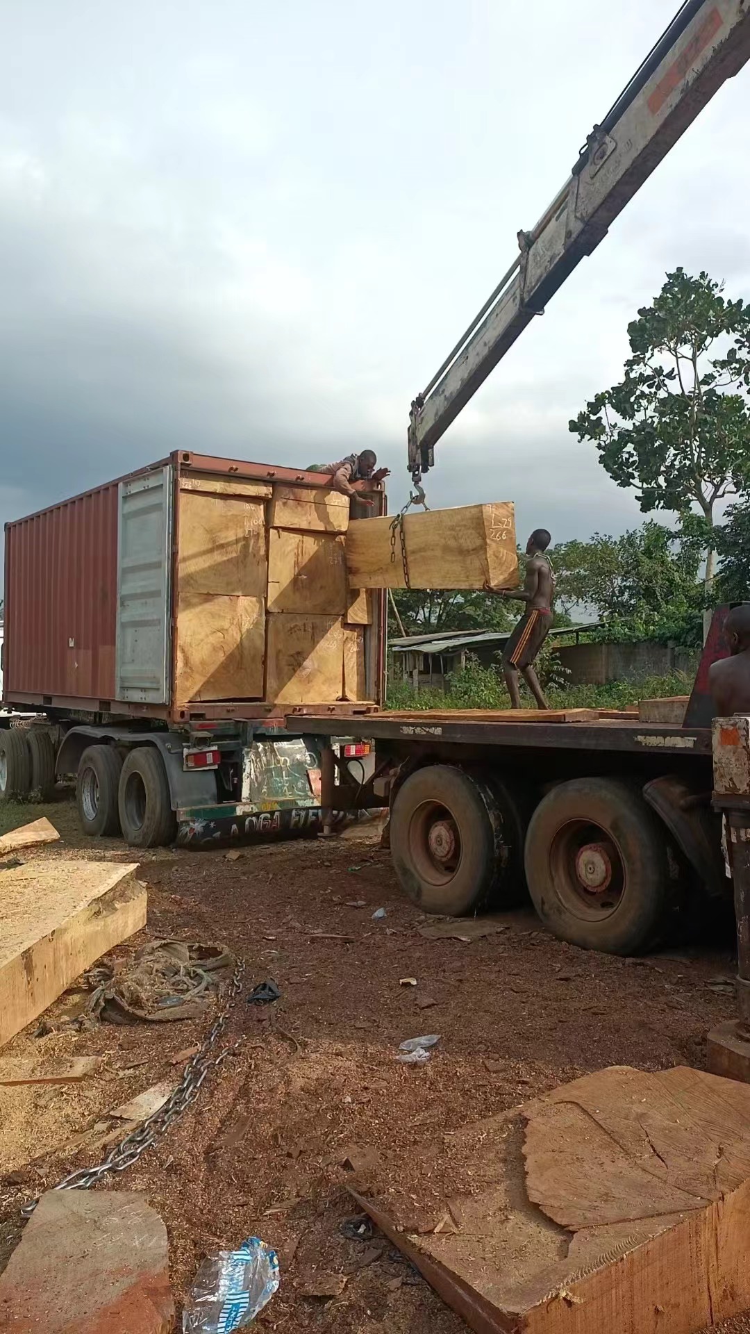 TIMBER TRANSPORT
