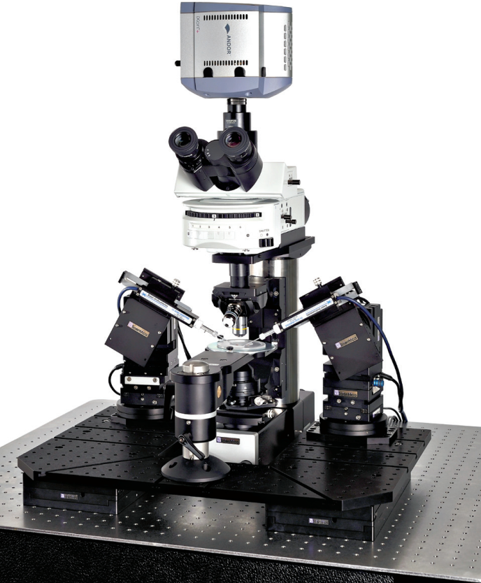 scientifica-9