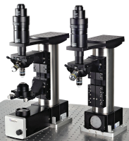 scientifica-5