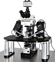 scientifica-7