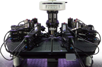 scientifica-2