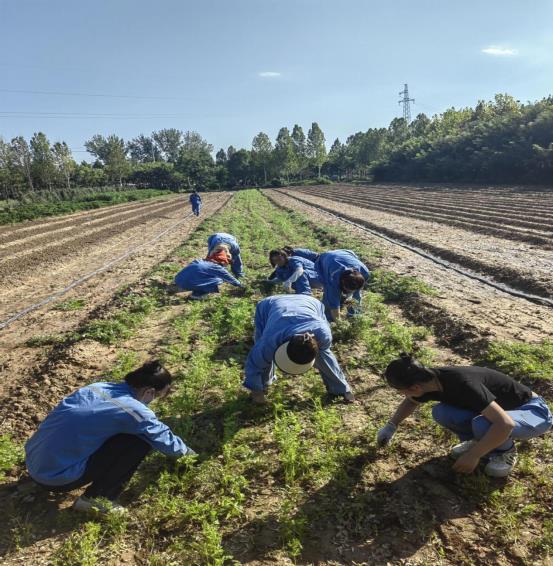 微信图片_20250818090713