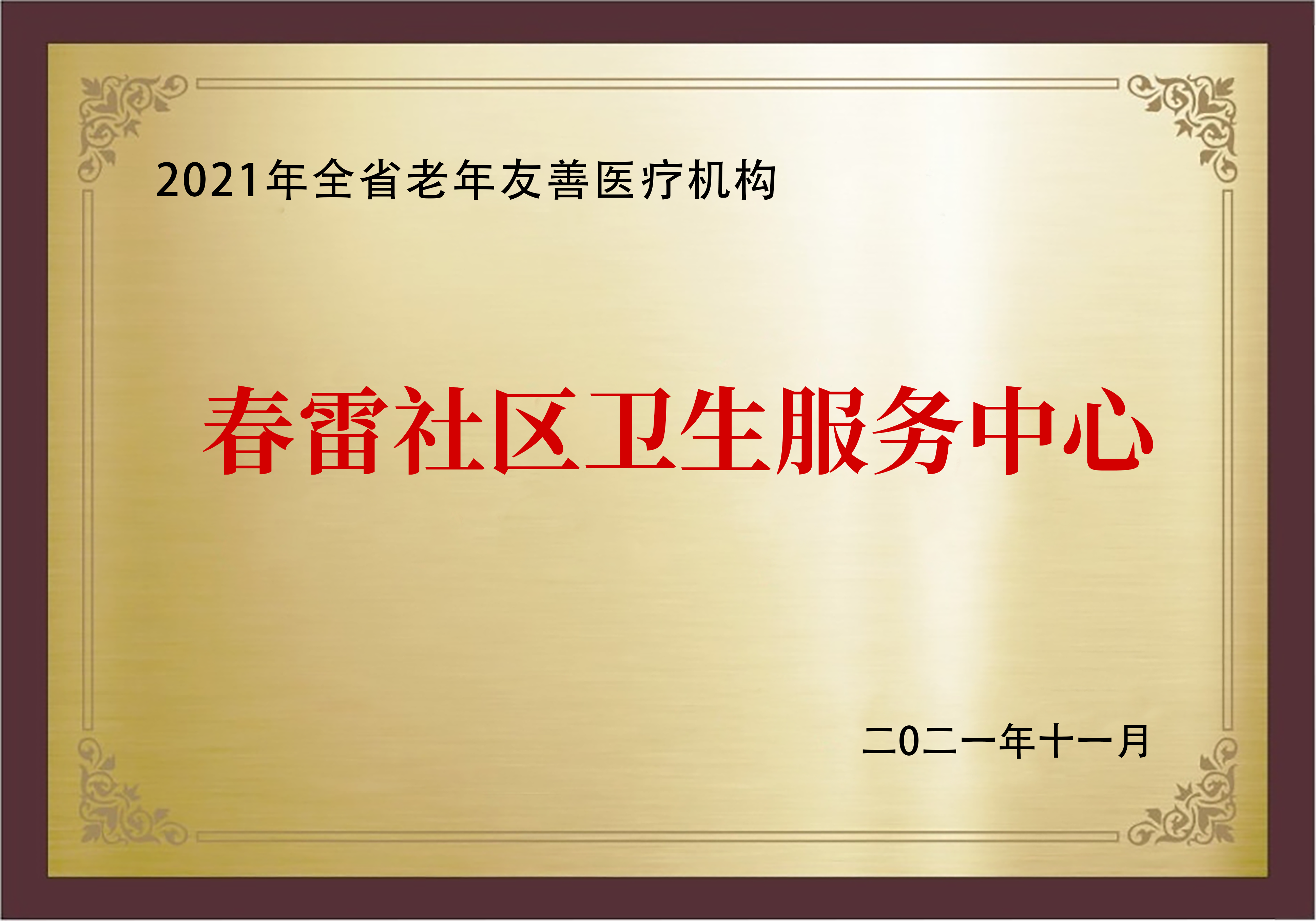 2021年：荣获魅力贵州省“金牌康复疗养机构”称号，进一步巩固了公司在养老健康产业中的领先地位。