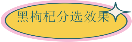 7b0a202020202274657874626f78223a2022220a7d0a