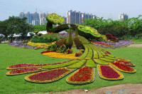 五色草绿雕造型