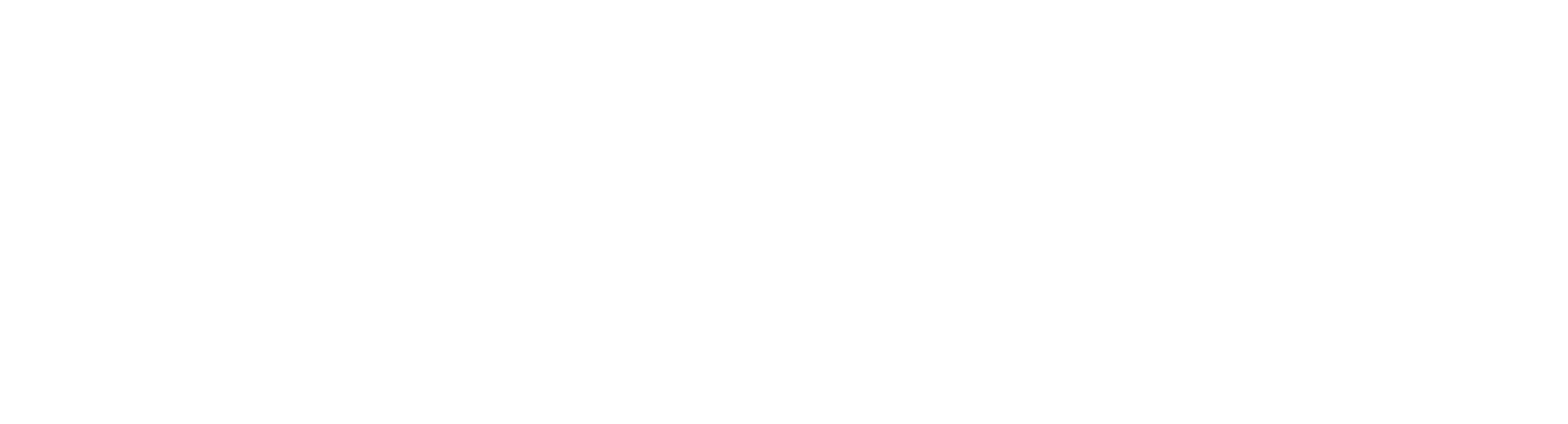 诺客韦尔LOGO透明底白字