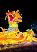 上海灯会案例