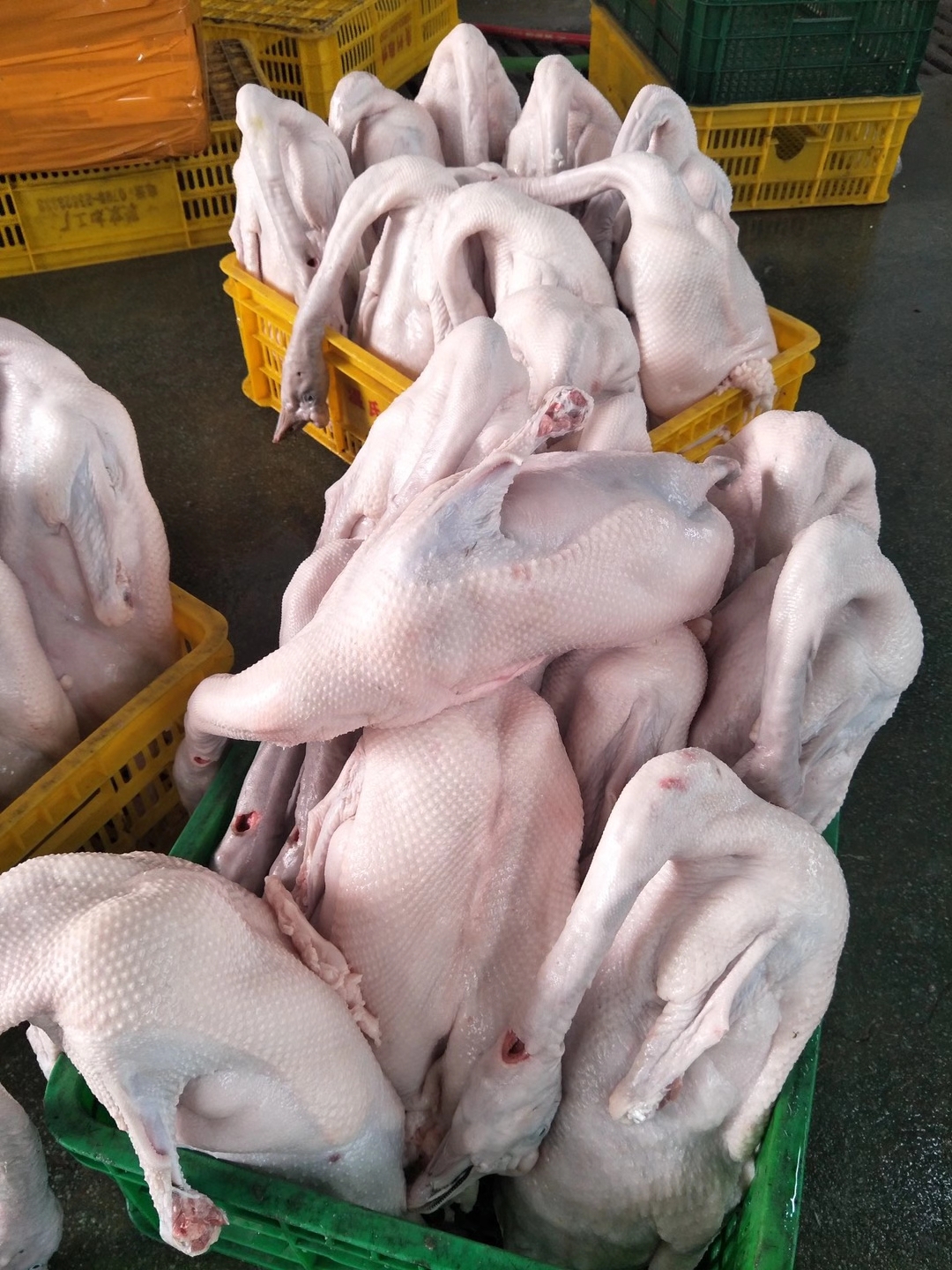 O1CN01O6hvcN2Bhy8Py0uGN_!!3934358371-2