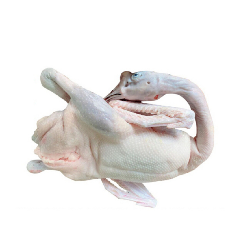 O1CN01yhL26I2Bhy8Txcwle_!!3934358371