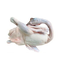 O1CN01yhL26I2Bhy8Txcwle_!!3934358371