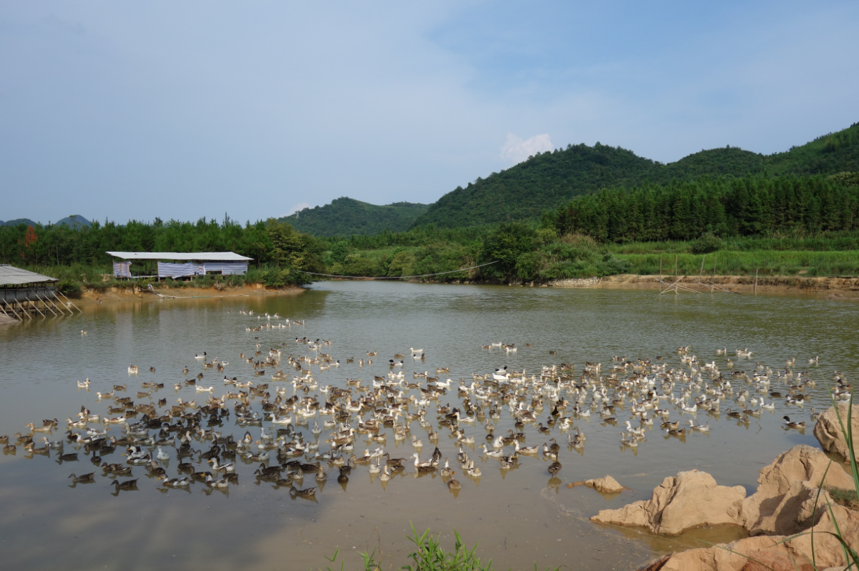 O1CN01ZKgsSF2BhxzqjB4GI_!!3934358371