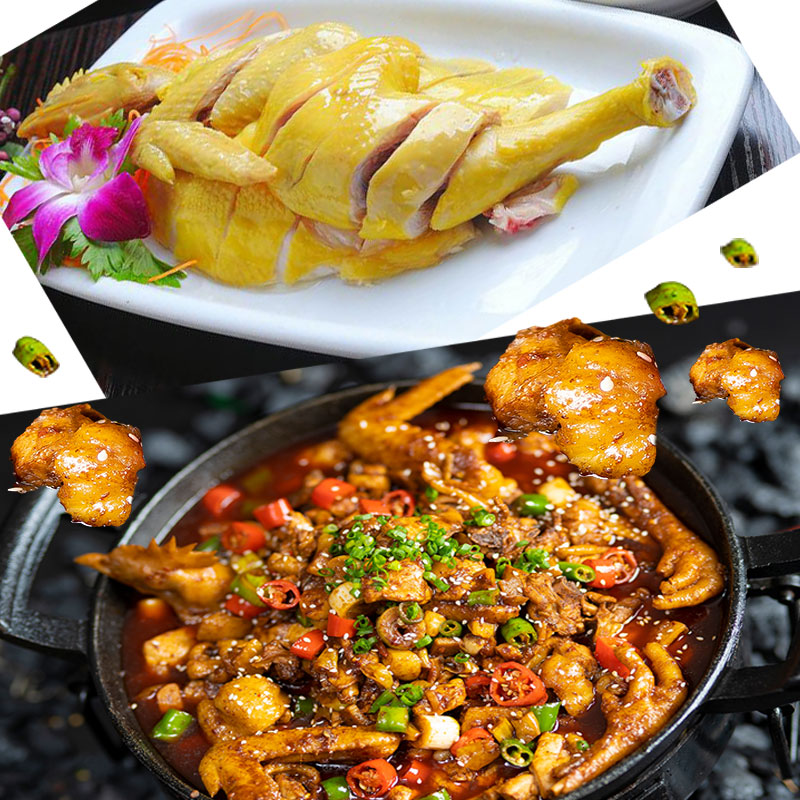 O1CN01XnFuPc2Bhy9GkDYRv_!!3934358371