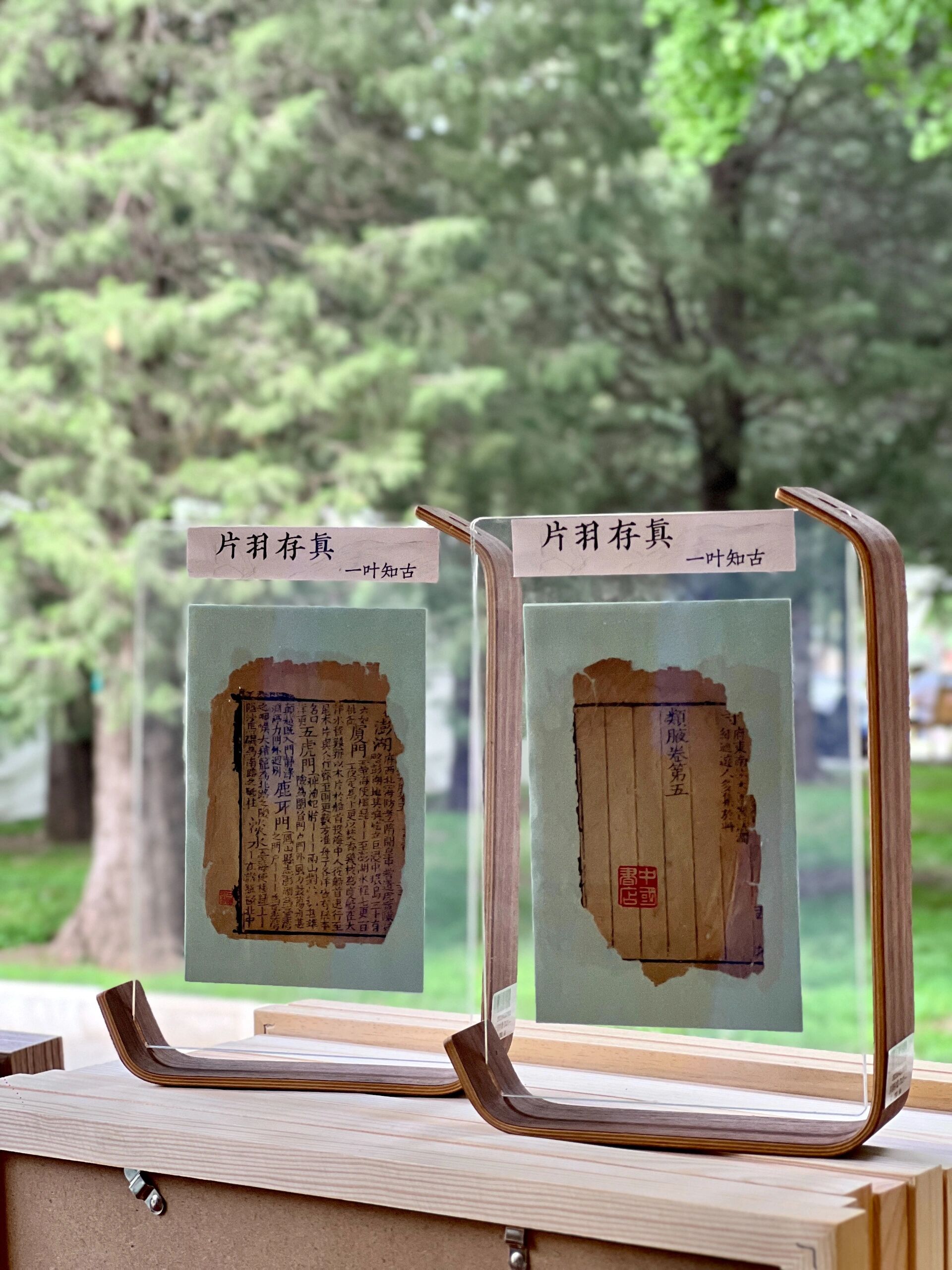 片羽存真-片羽存真4