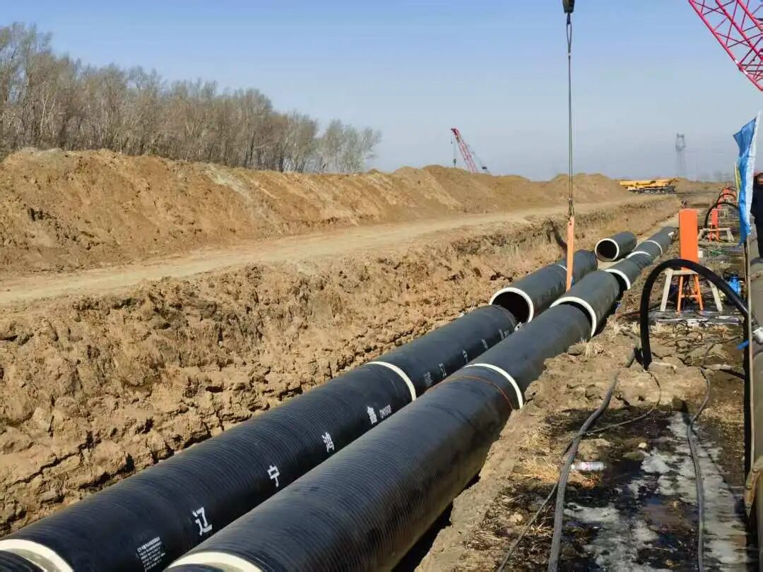 微信图片_202504250929471.jpg 微信图片_202504250929471.jpg