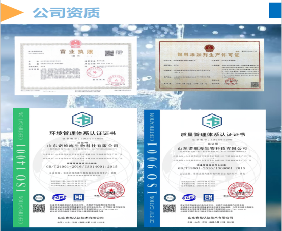诺维海公司资质3