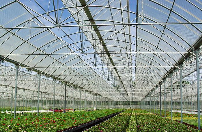 陽光板工程案例