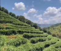 微信截图_20260421180351