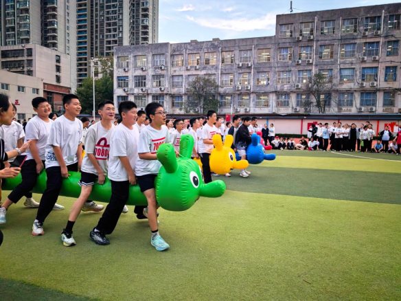 毛毛虫