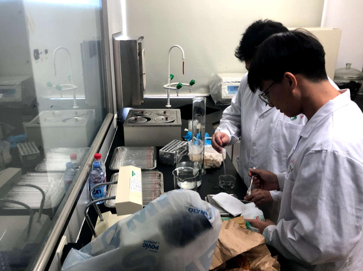 热烈欢迎医学检验学院师生来我司开展社会实践活动