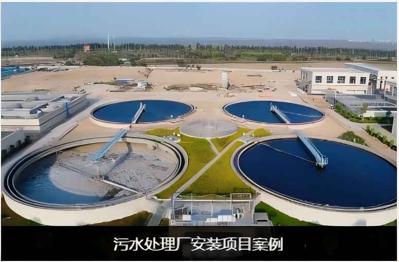 企业微信截图_20240808142914