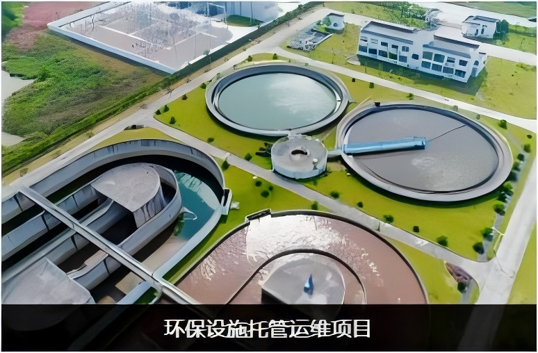 企业微信截图_20240808142924