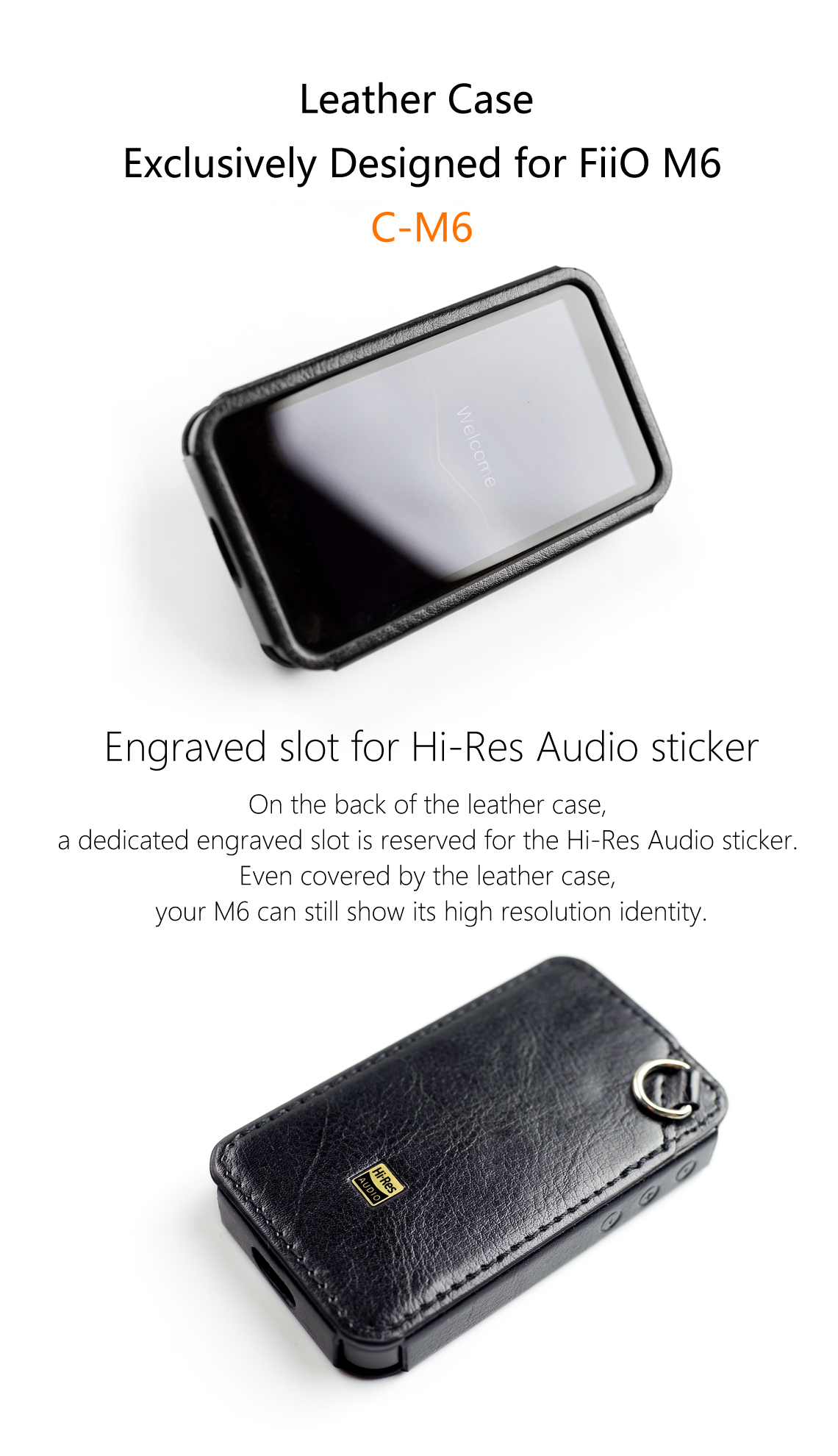 C-M6 Leather Case for FiiO M6 | DD HiFi Singapore | TREOO.com