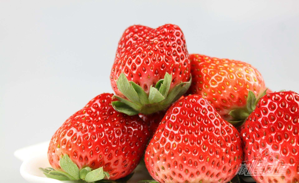 建德草莓5
