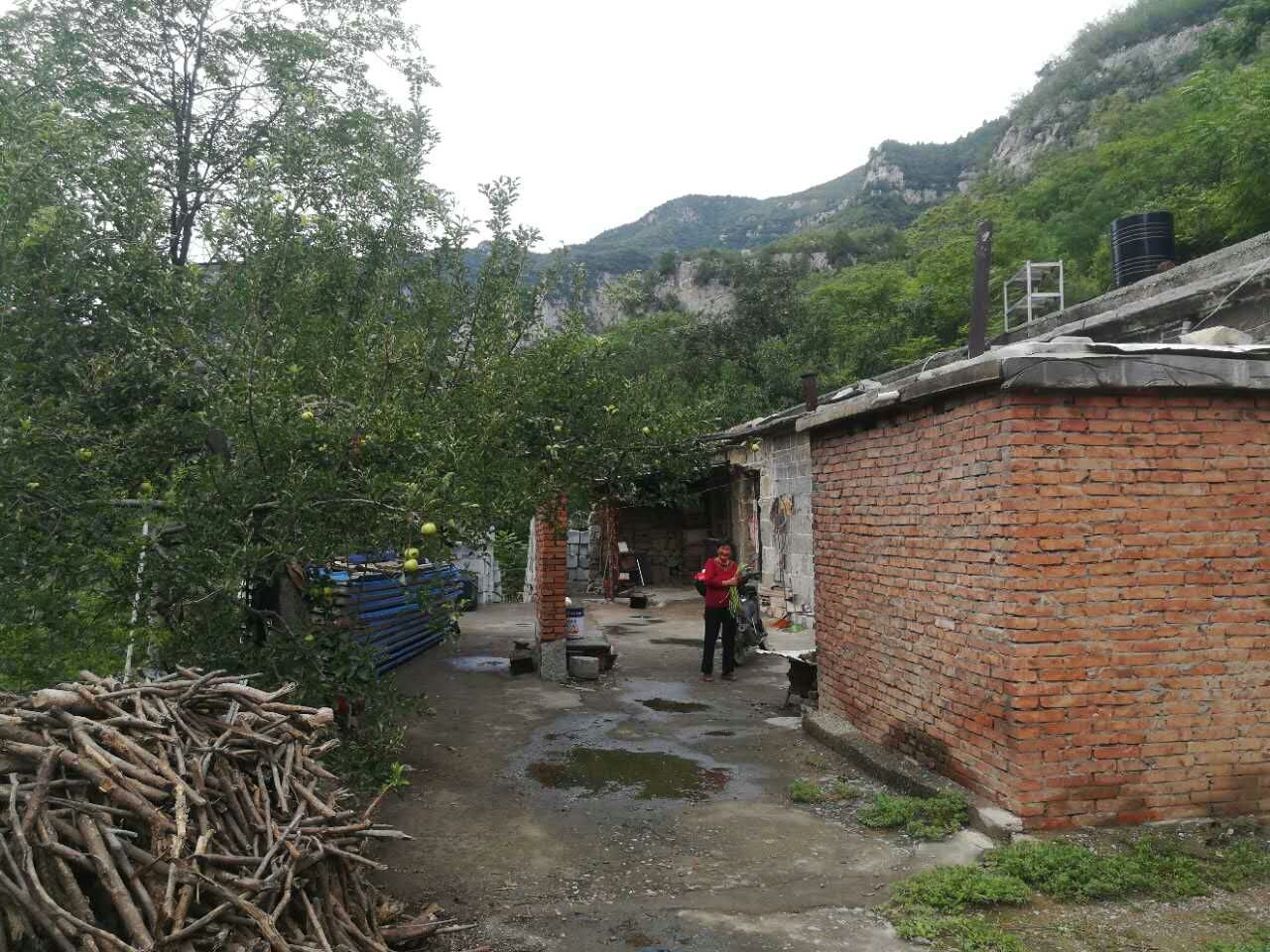 枫林镇孤山村图片