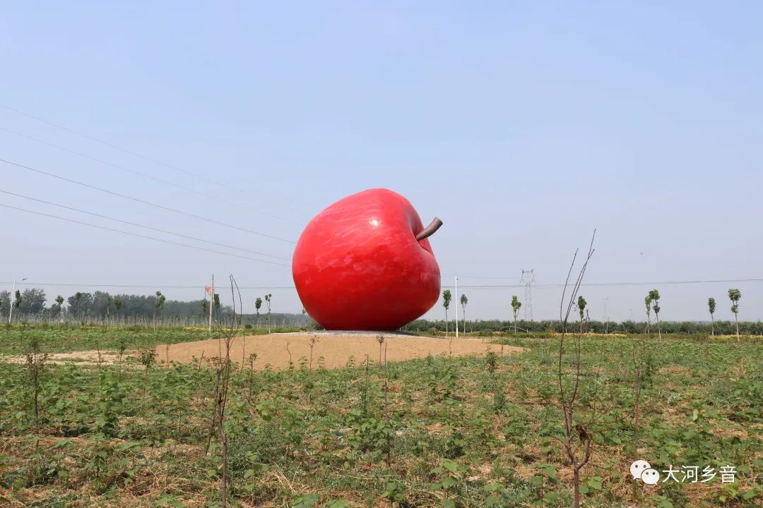 我的家鄉是蘋果之鄉為家鄉虞城蘋果做代言虞城蘋果歡迎您品嚐