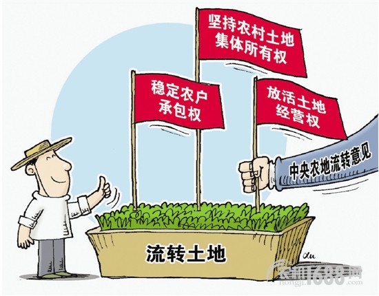 大河乡音乡村土地流转信息发布平台开通运营