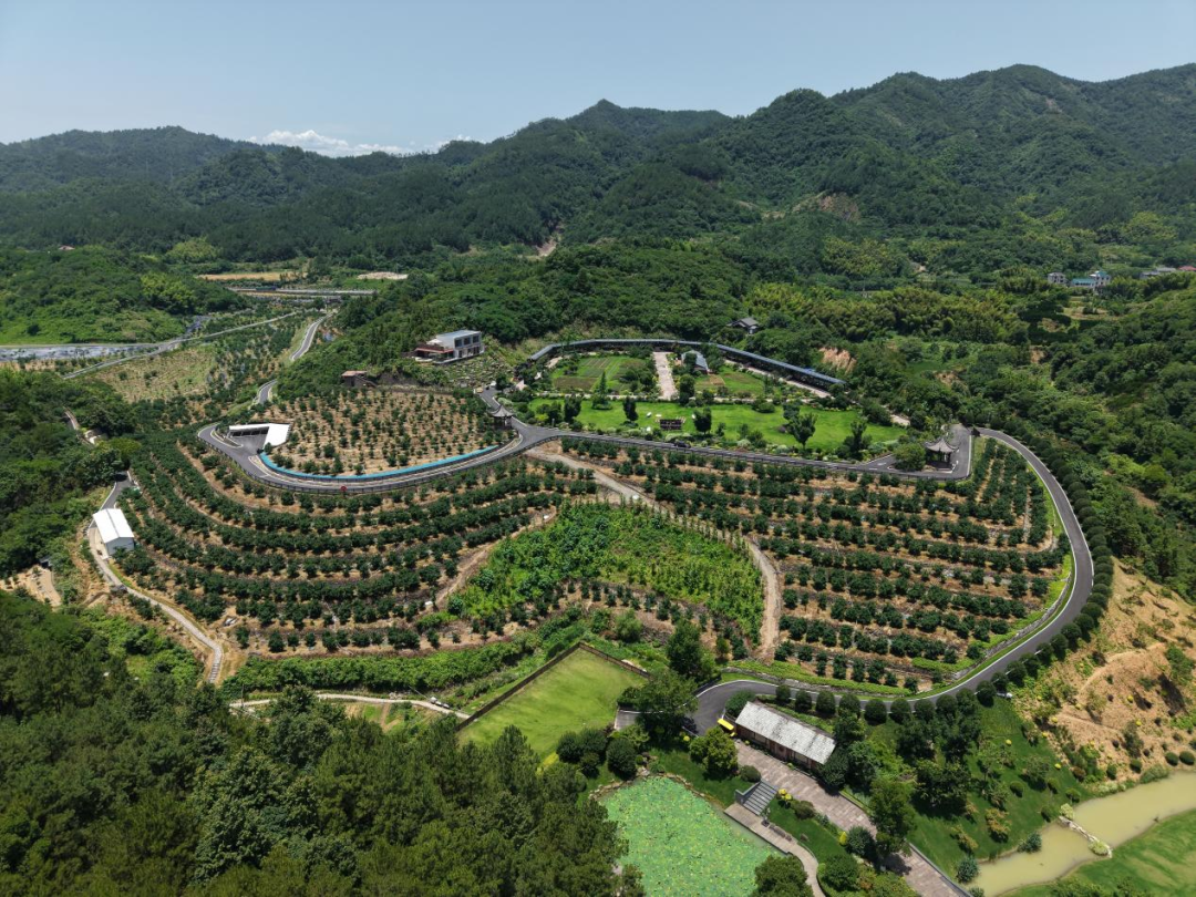 柚香谷基地俯瞰图