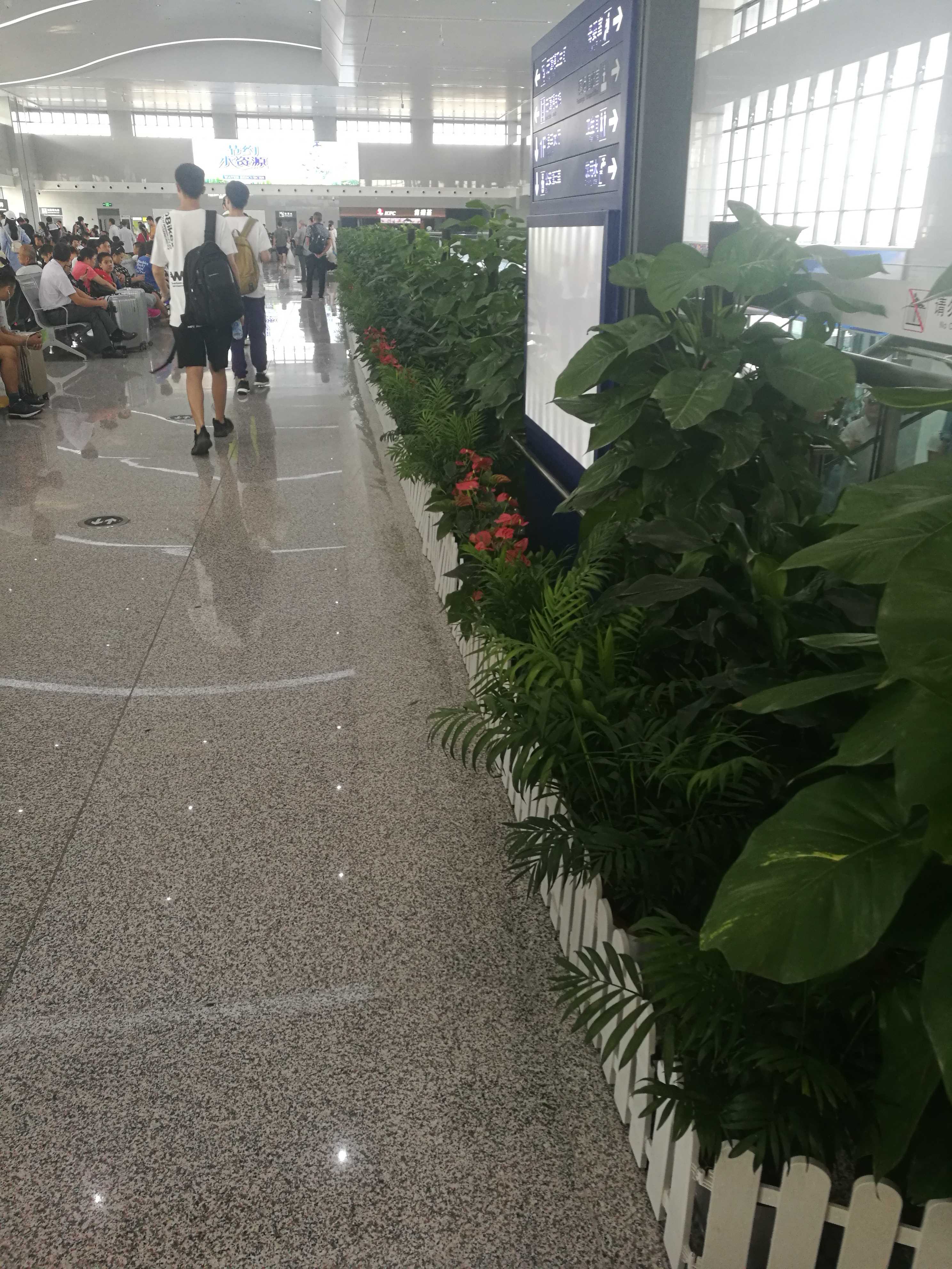 六安火车站绿植装饰效果