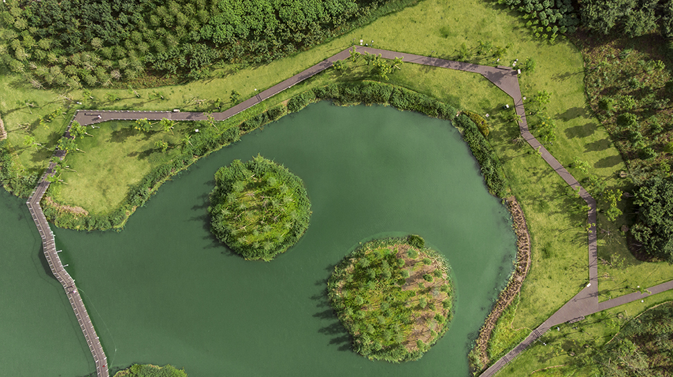 宁波市东部新城生态走廊三期