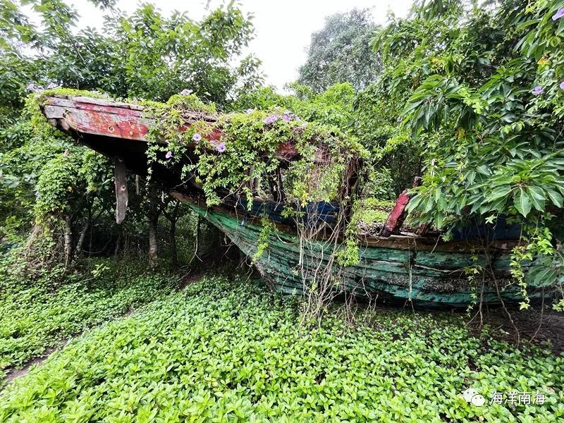 潭门船舶废墟残缺美引发祖宗海海洋历史文化感悟-海南省休闲渔业协会