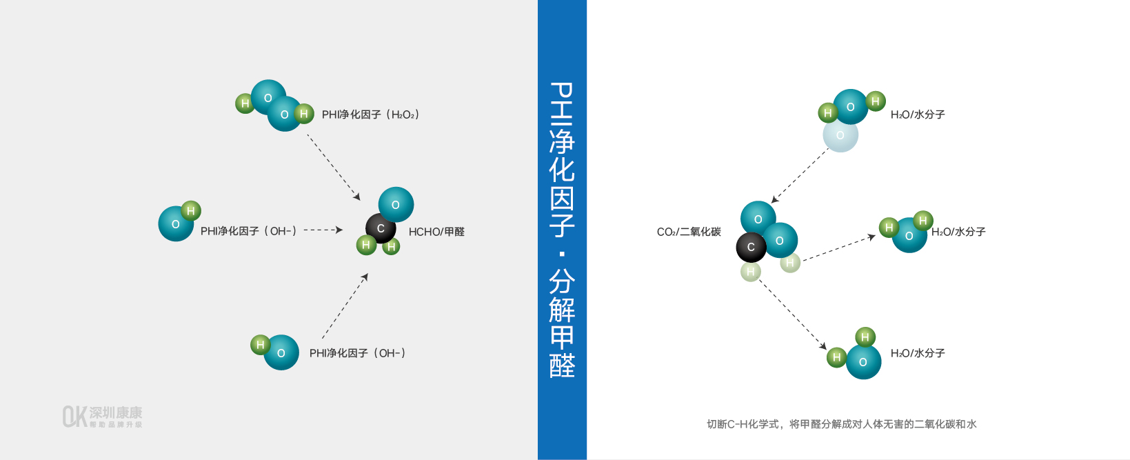 网站案例详情-65